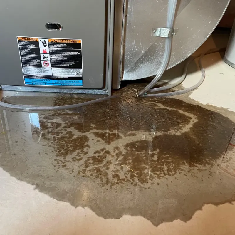 Appliance Leak Cleanup in Monmouth, OR